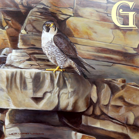 WAYNE WESTWOOD, original oil painting, PEREGRINE FALCON